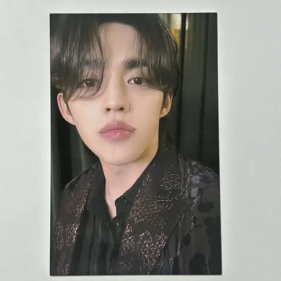 세븐틴 에스쿱스 포카 판매