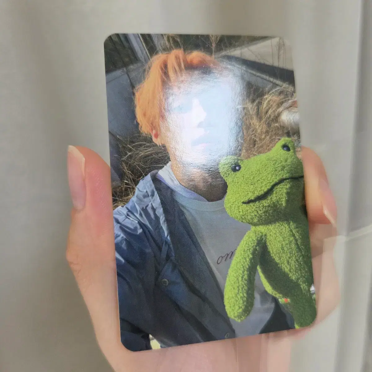 알디원 앨리즈존 중콘 상원 포카 2
