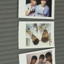 세븐틴 디노 짭폴 폴라 포카 2