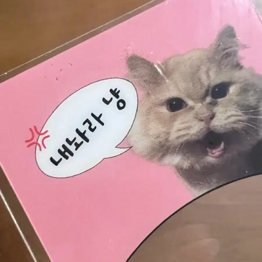 감제이 라떼포카 판매 2