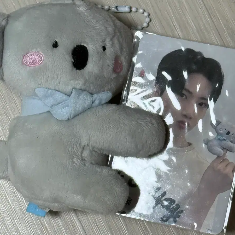 트레저 준규 따요 인형 포카