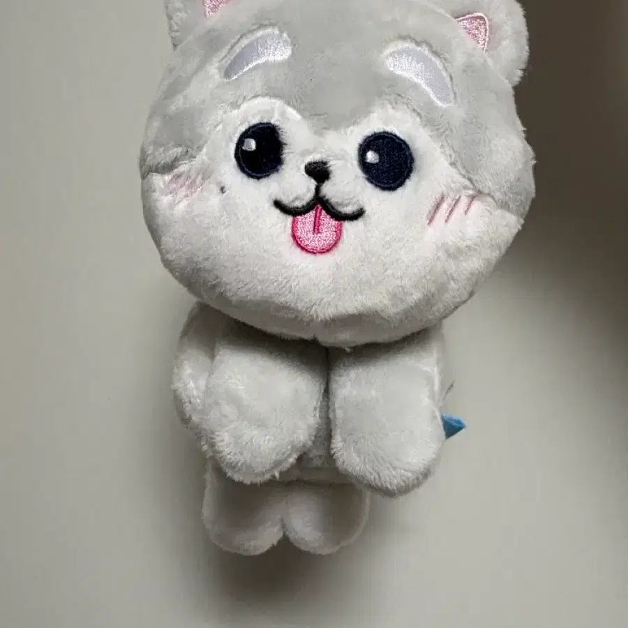 트레저 퍼니 지훈 멍멍 포카포함