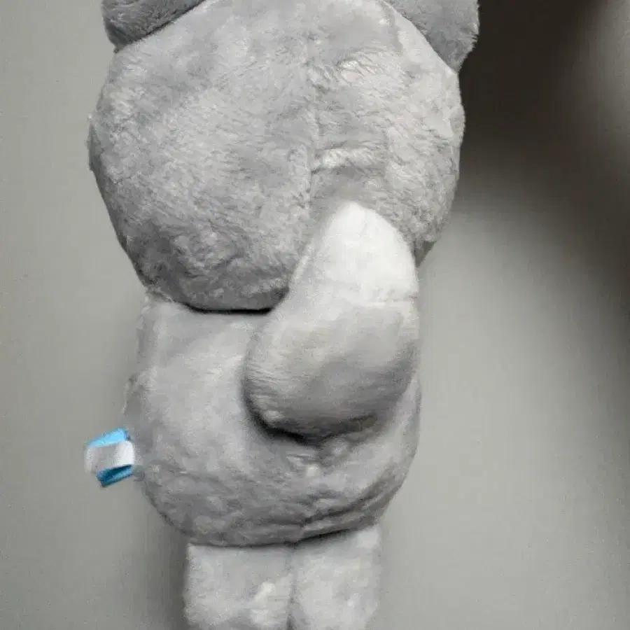 트레저 퍼니 지훈 멍멍 포카포함 2