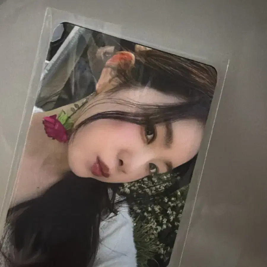 아이린 콘서트 I will 입장포카 포토카드