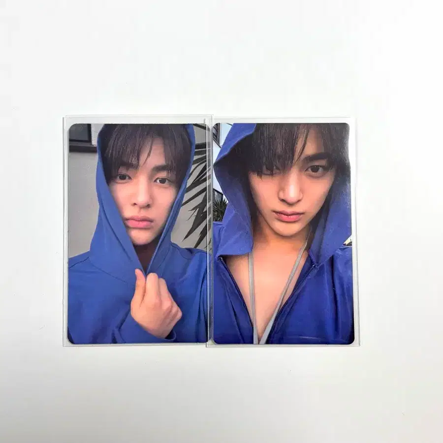 코르티스 건호 포카 양도