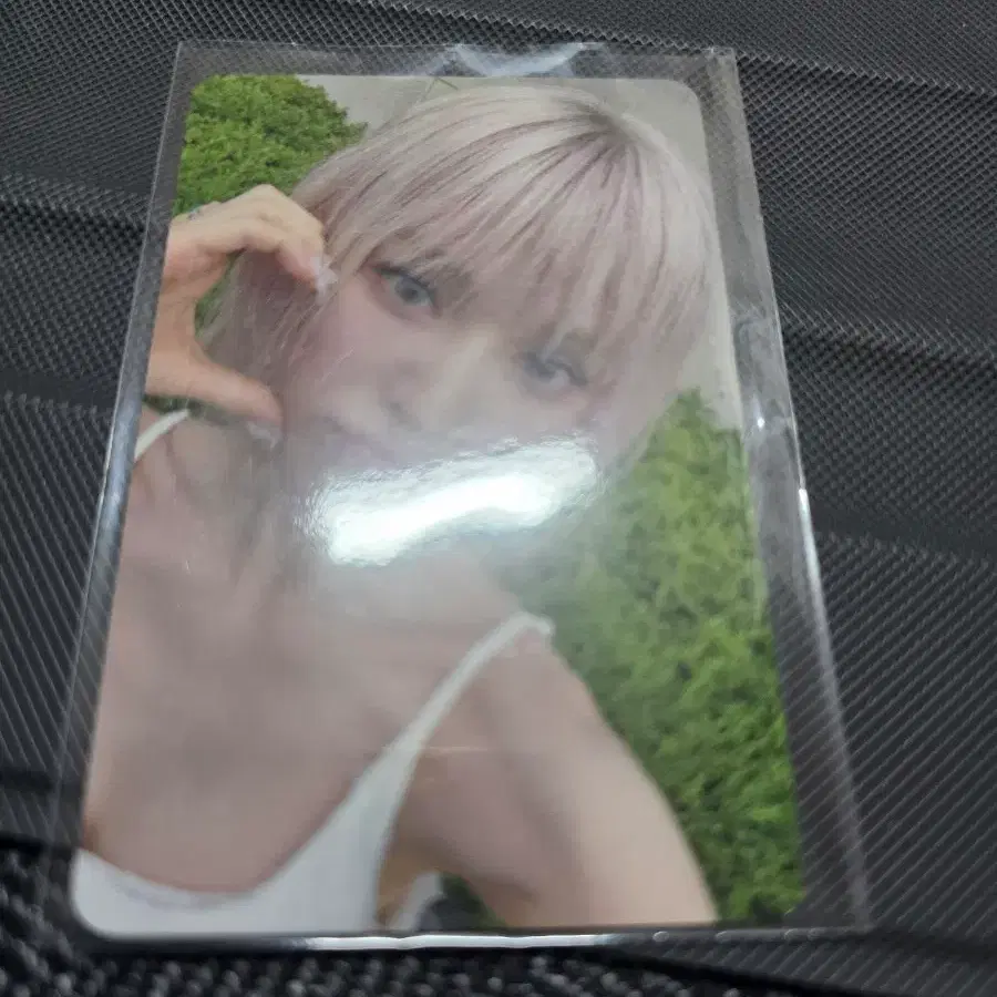 웬디 공방포카