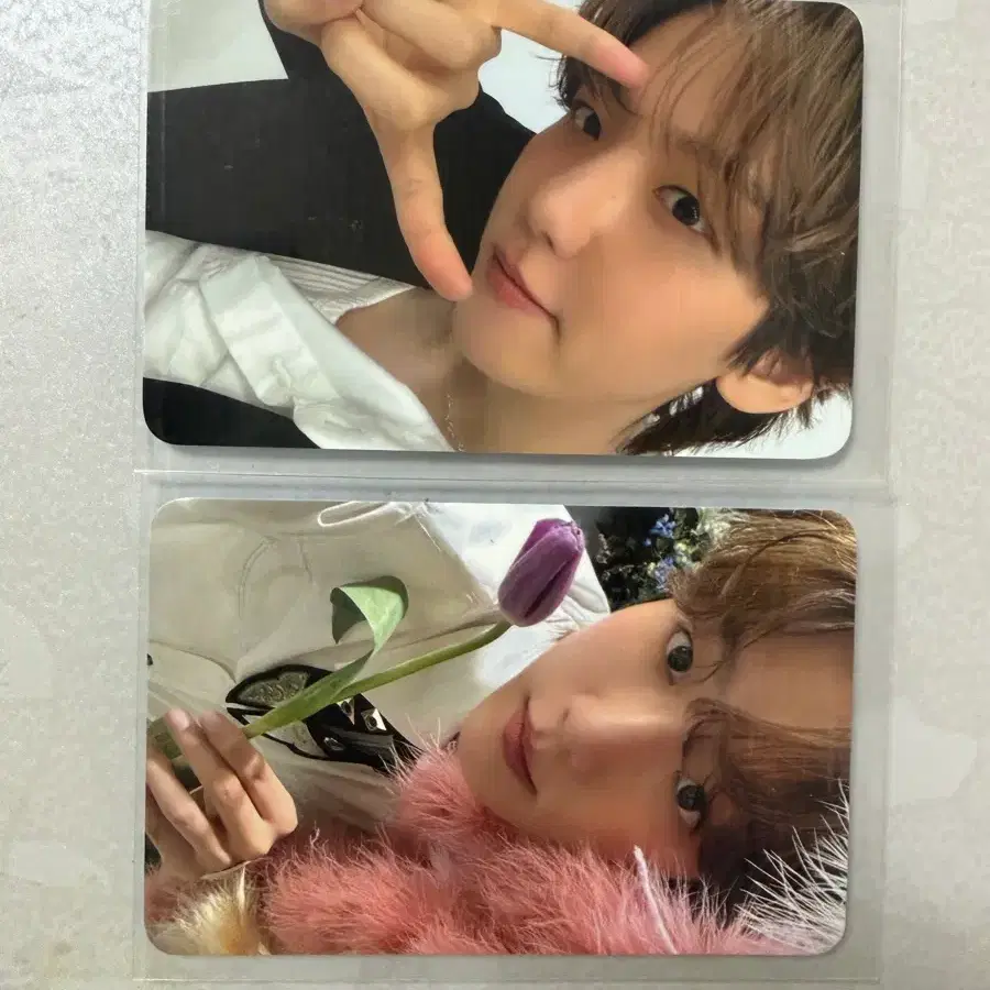 백현 2025 월드 투어 포카