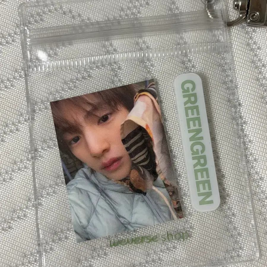 코르티스 주훈 그린그린 포카 양도 2