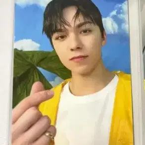 세븐틴 버논 음신, 페더썬 캐럿반, 2018 시그 포카 등 여러 구성품 9