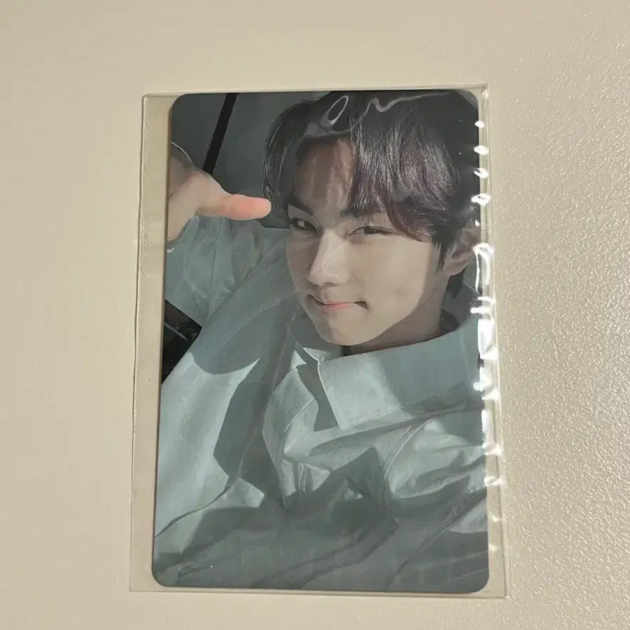 엔하이픈 햇살정원 포카
