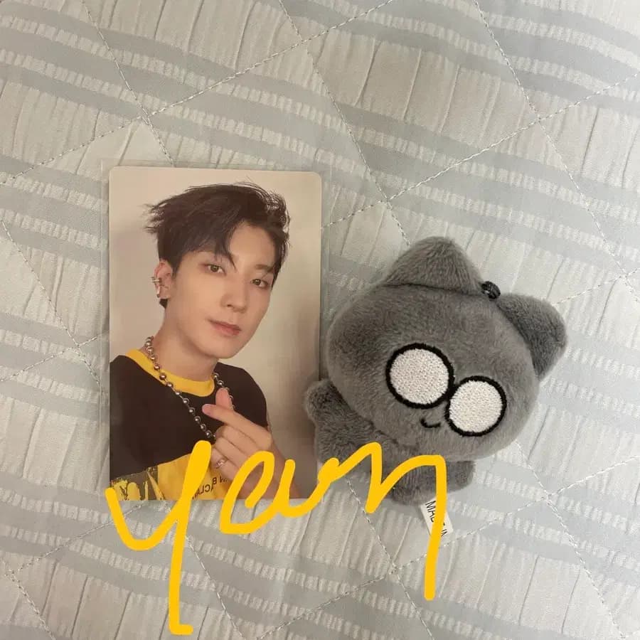 세븐틴 원우 원웅냥 6cm 인형 포카