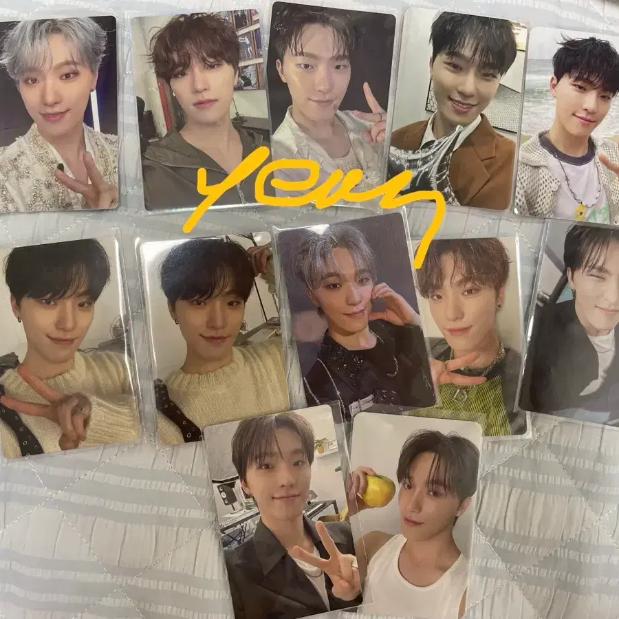 세븐틴 디노 포카