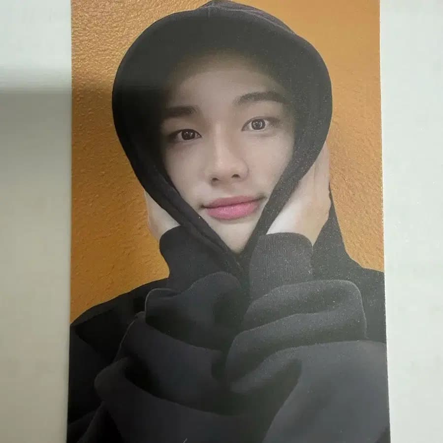 스트레이키즈 스키즈 고생 현진 양면포카