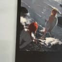 체인소맨 null님 폴라 포카 굿즈 아키 레제 마키마 파워 덴지 천사 2