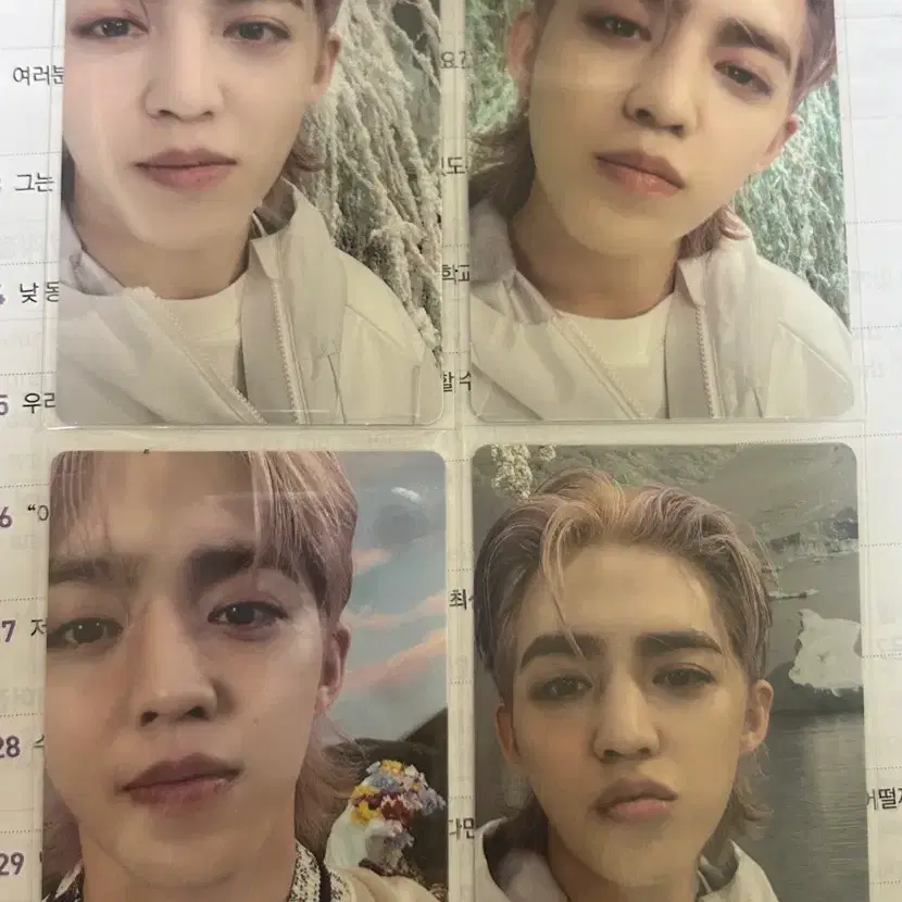 세븐틴 에스쿱스 섹터 포토카드