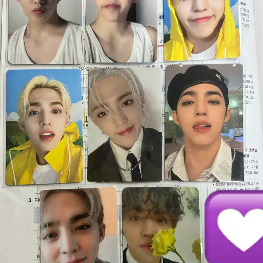 세븐틴 에스쿱스 캐럿반 포토카드