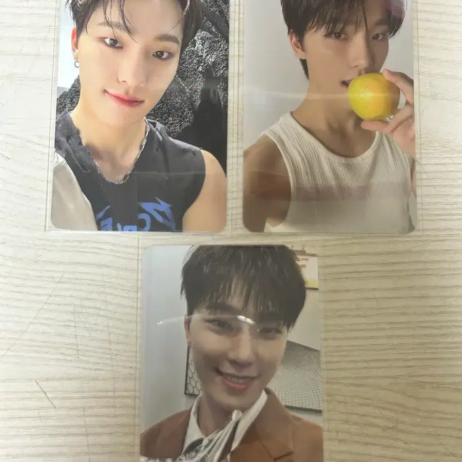 세븐틴 디노 포토카드