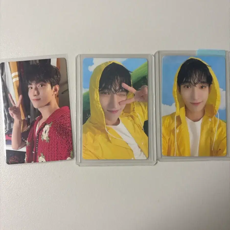 세븐틴 11집 포토카드 도겸