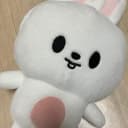 스트레이키즈 스키주 플러시백팩 리빗 리노 포카 포함 1