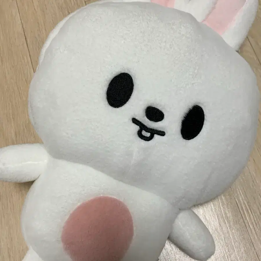 스트레이키즈 스키주 플러시백팩 리빗 리노 포카 포함