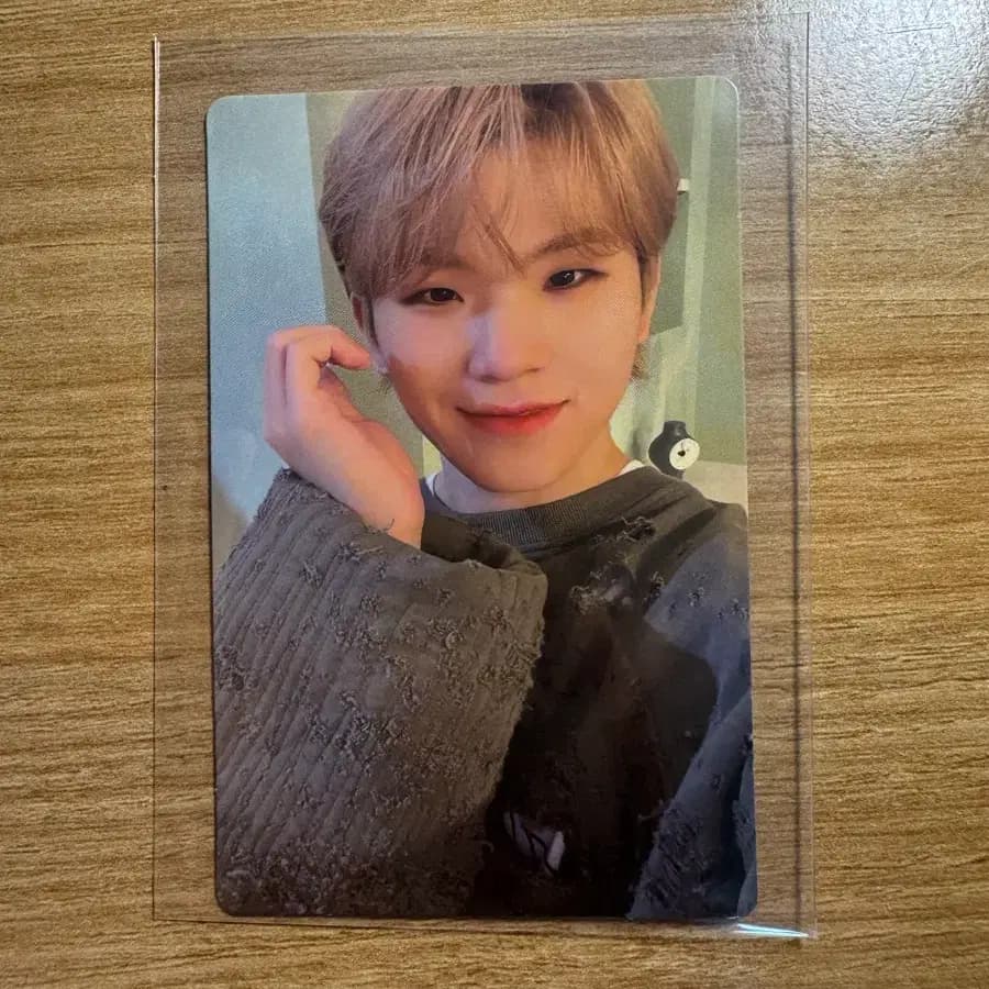 세븐틴 우지 포카