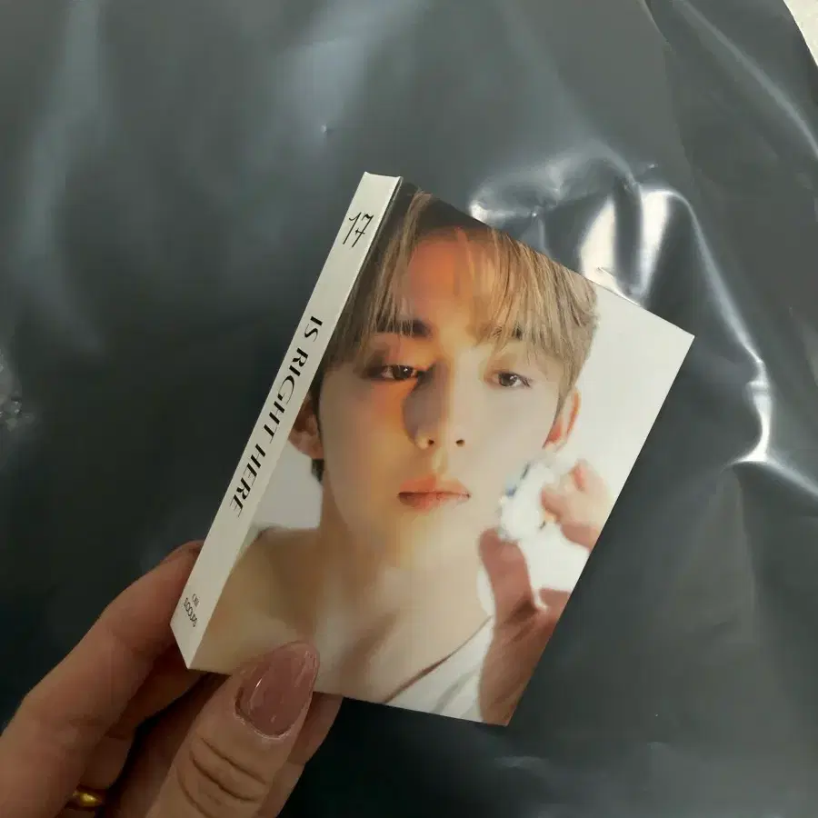 세븐틴 에스쿱스 IS RIGHT HERE 포카집