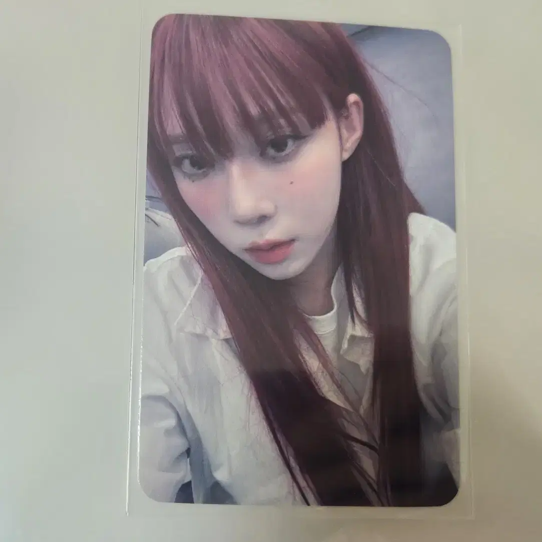 에스파 윈터 포카