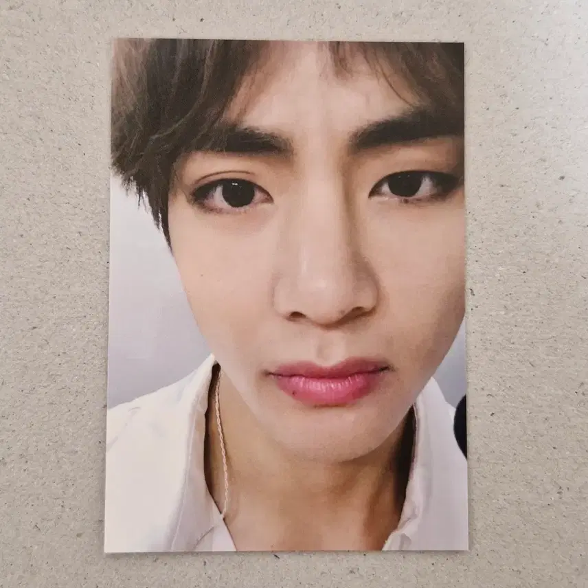 아미피디아 퍼즐 포카 태형 / V