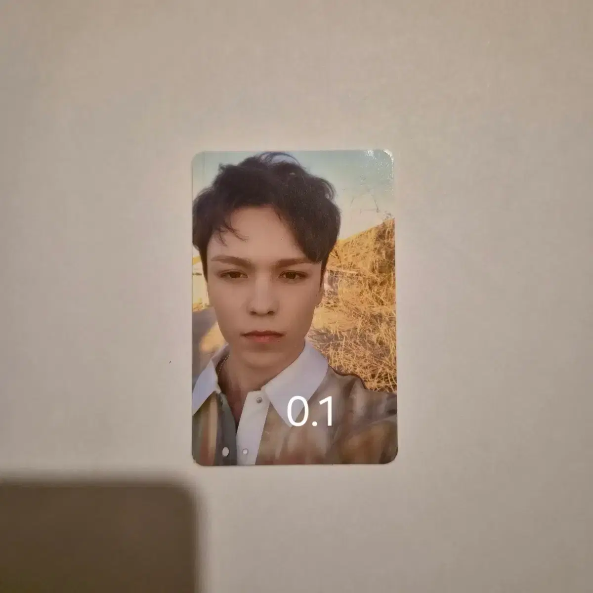세븐틴 버논 포카 / 헹가래