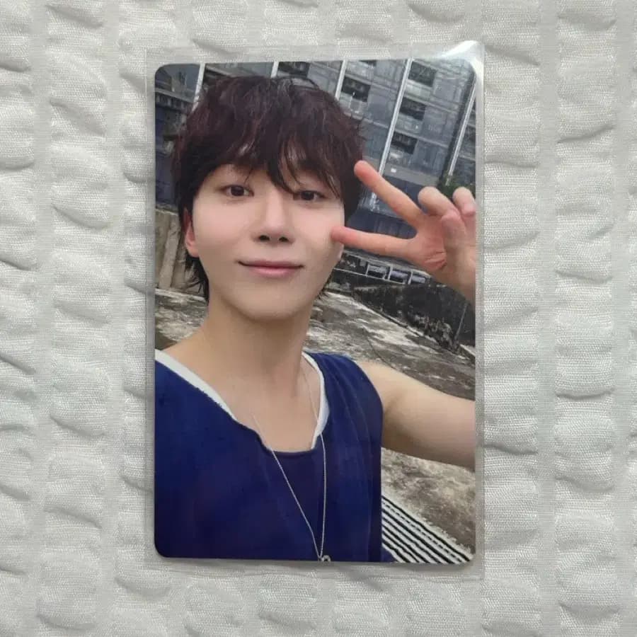 세븐틴 승관 스필더필스 spill the feels 포토카드