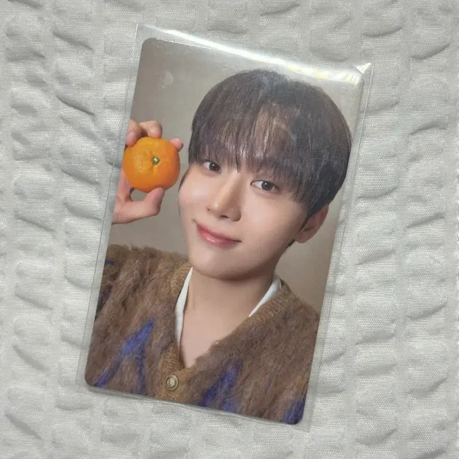 세븐틴 승관 도겸X승관 특전 포토카드