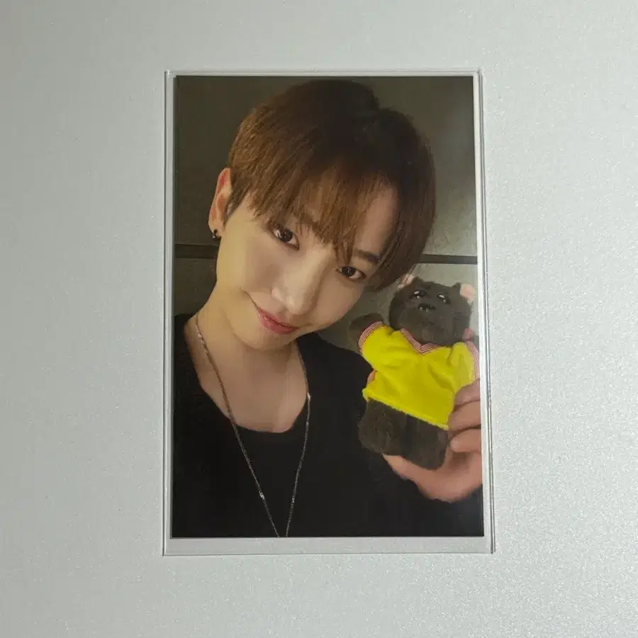 보넥도 쁘넥도 1기 명명이 명재현 포카 양도