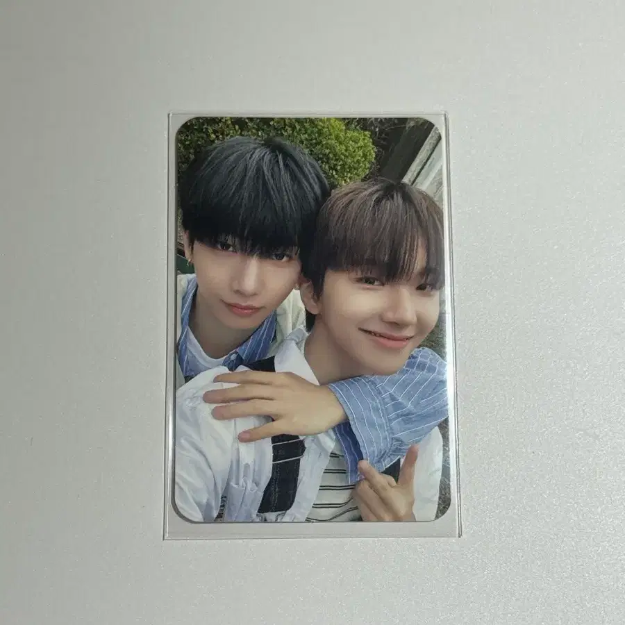 보넥도 and 스탠다드 명재현 운학 유닛 포카 양도 1