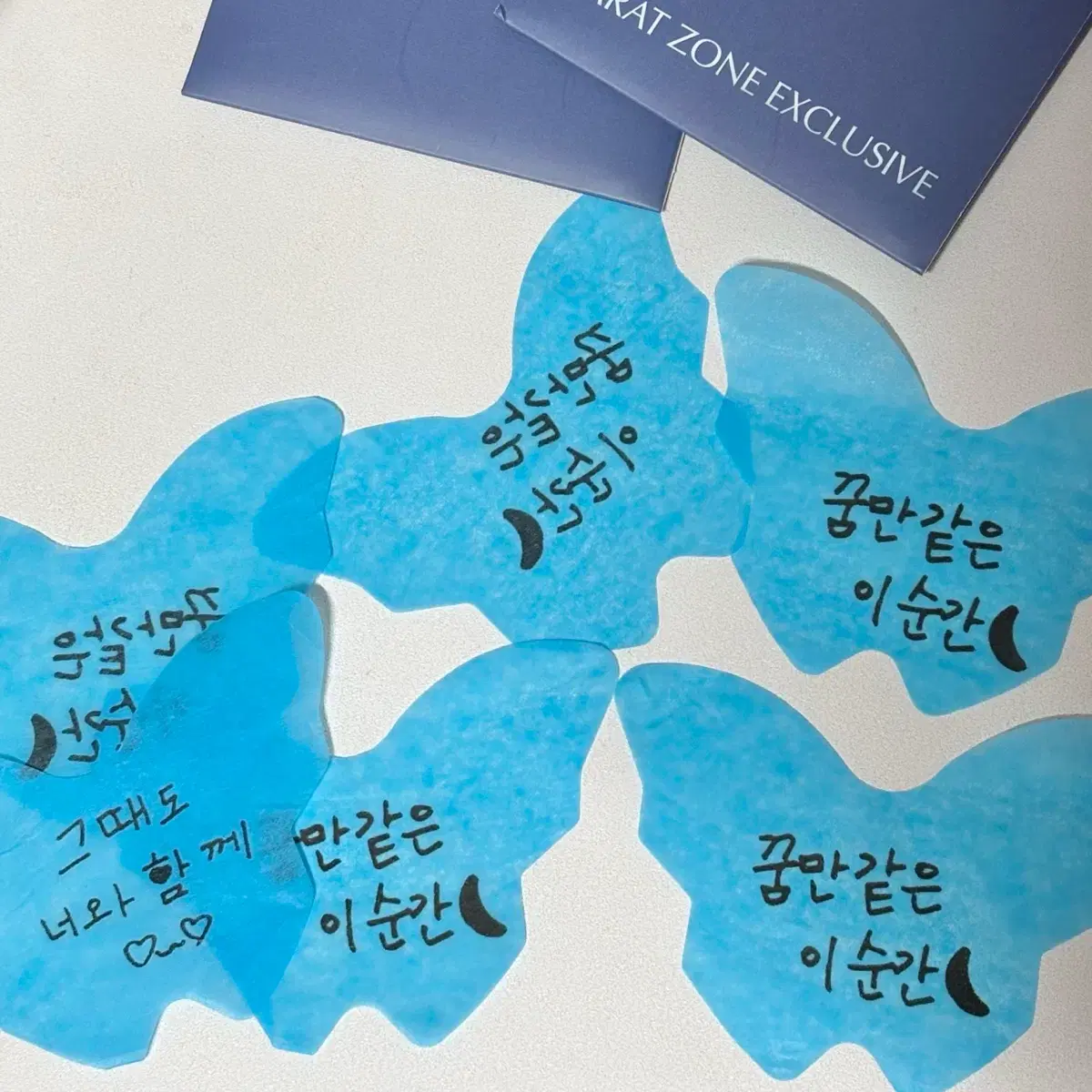 소야곡 도겸 승관 DxS 캐럿존 포카 나비 컨페트