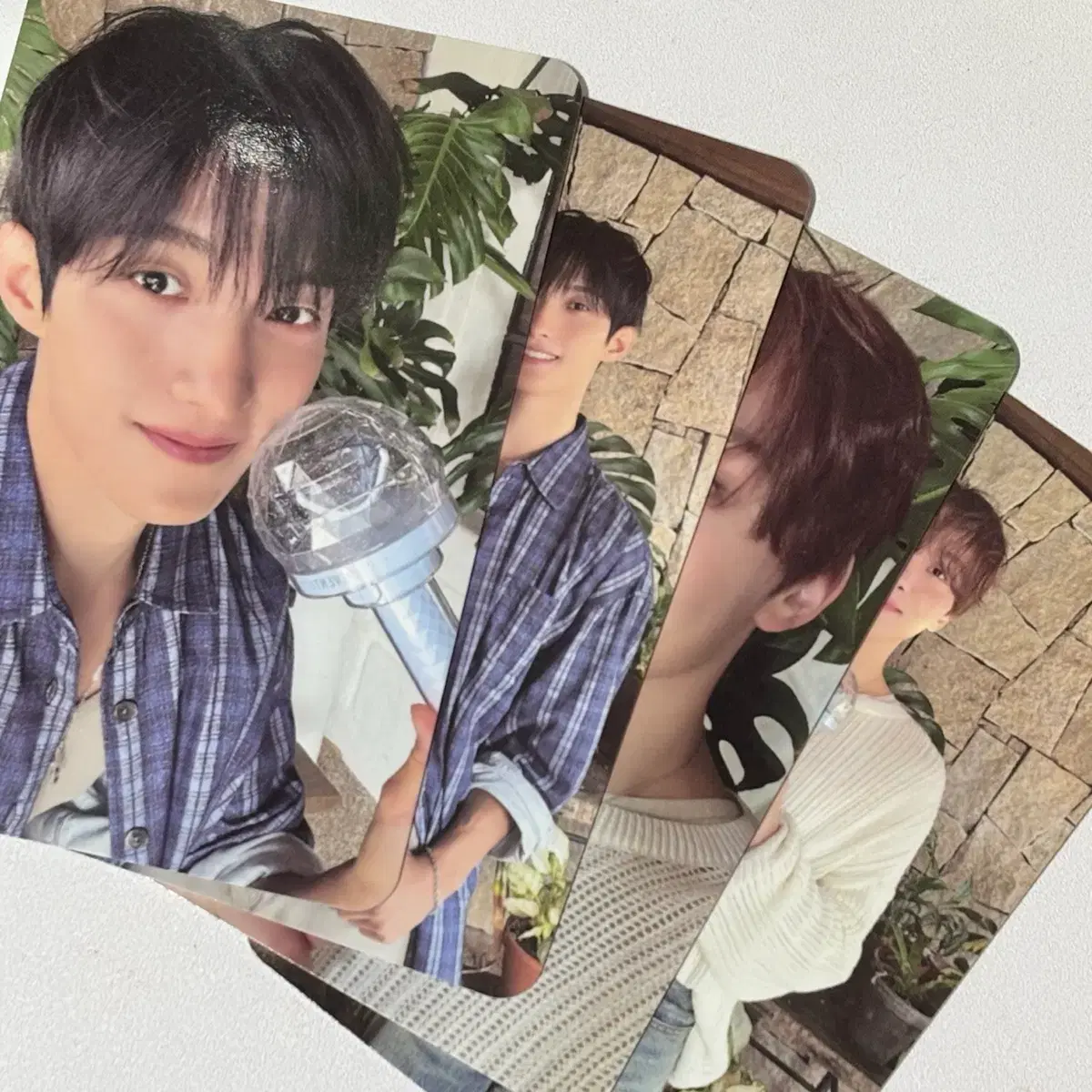 소야곡 도겸 승관 DxS 캐럿존 포카 나비 컨페트 2