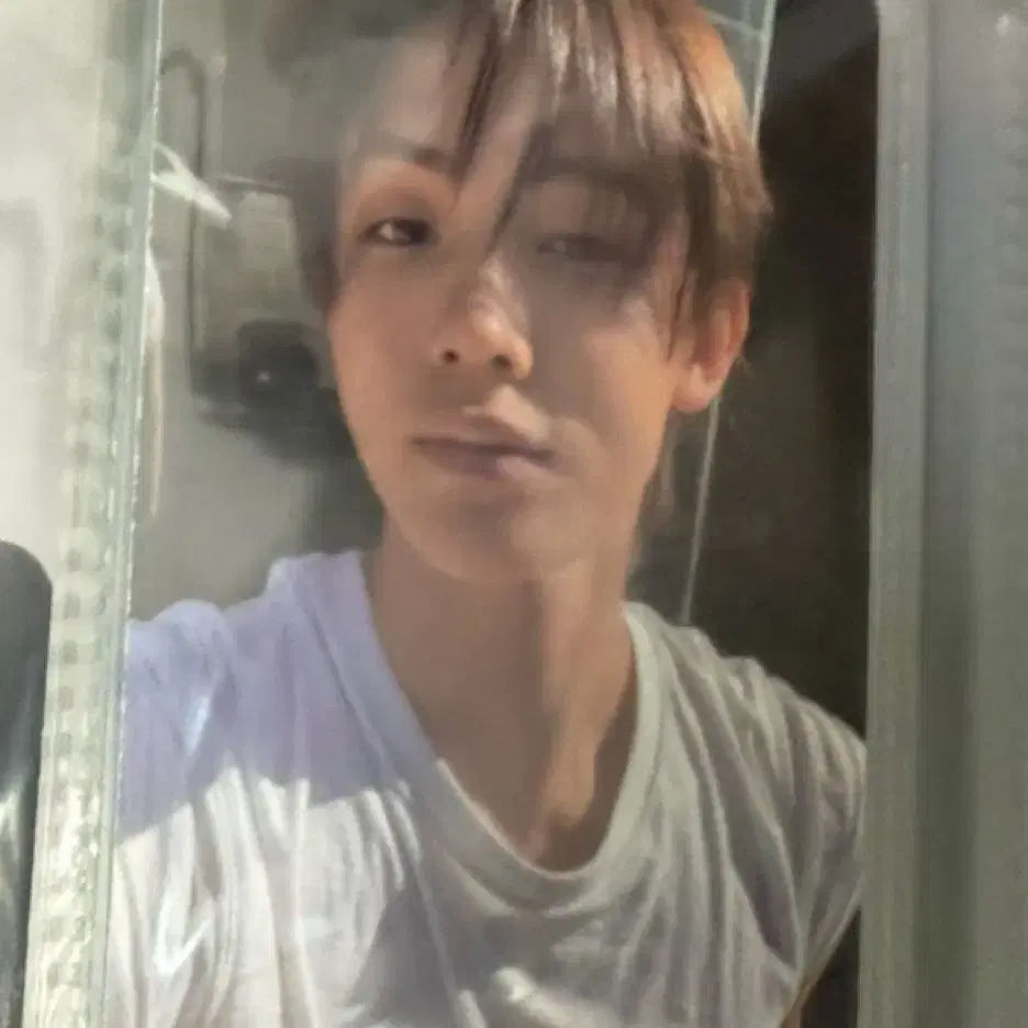 코르티스포카 주훈,성현 3