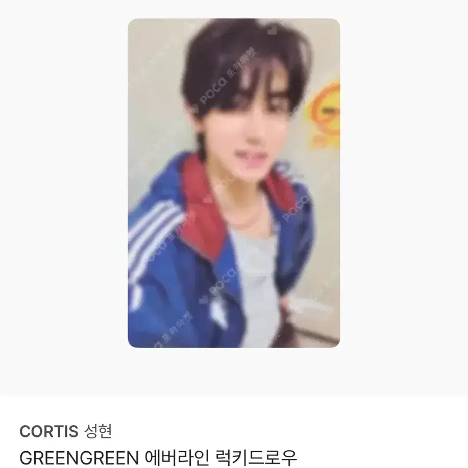 코르티스 성현 GREENGREEN 그린그린 에버라인 럭드 포카