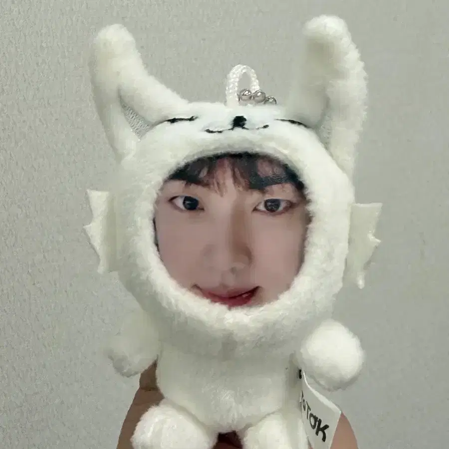 방탄소년단 BTS 진 석진 jin 포토톡 인형 키링 ㅅㅊ 해피 에코 포카