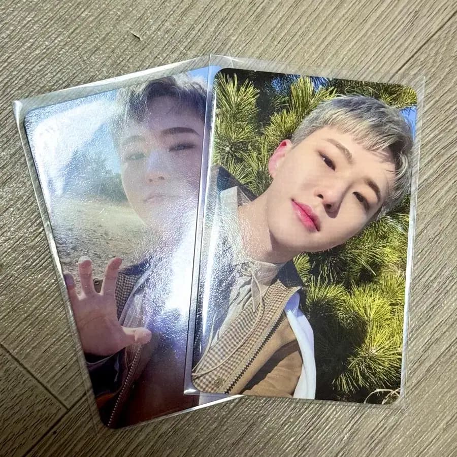 세븐틴 호시 포토카드 양도