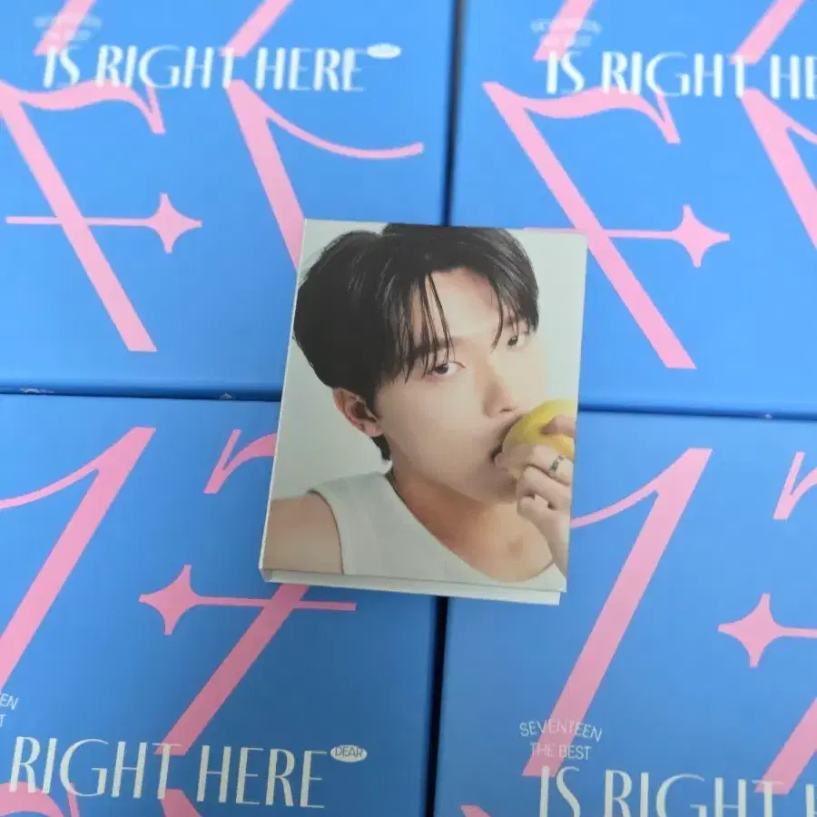 세븐틴 캐럿반 디노 정한 에스쿱스 버논 도겸 (포카포함)