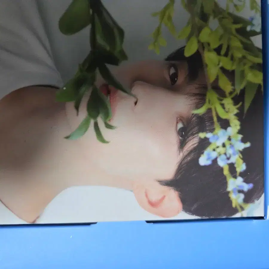 세븐틴 캐럿반 디노 정한 에스쿱스 버논 도겸 (포카포함) 5