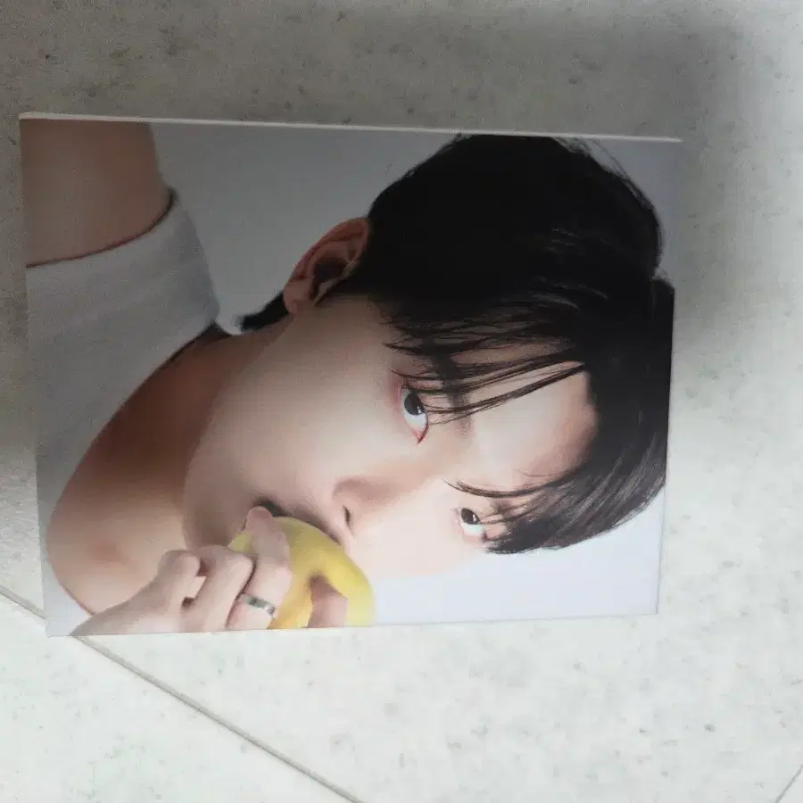 세븐틴 캐럿반 디노 정한 에스쿱스 버논 도겸 (포카포함) 6