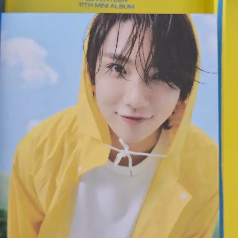 세븐틴 캐럿반 조슈아 디노(포카포함) 3