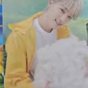 세븐틴 캐럿반 조슈아 디노(포카포함) 4