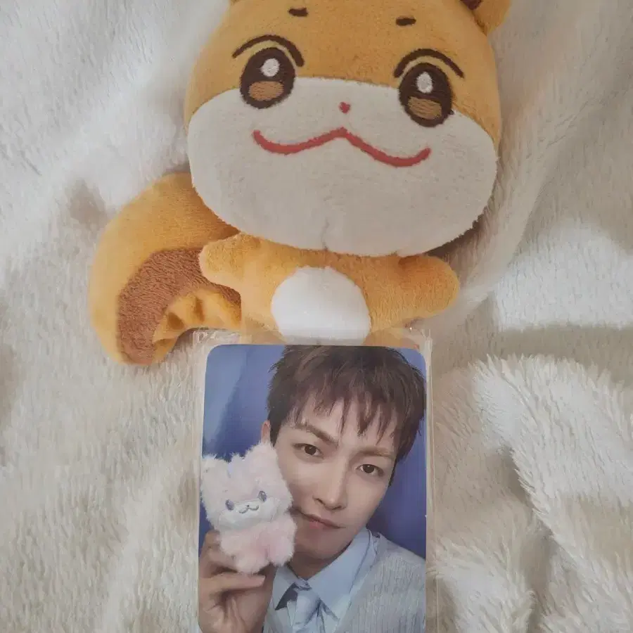 에이티즈 홍중 인형 포카
