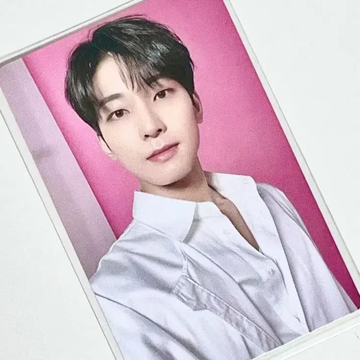 세븐틴 원우 포카 / 마이멜로디 포카홀더 양도 2