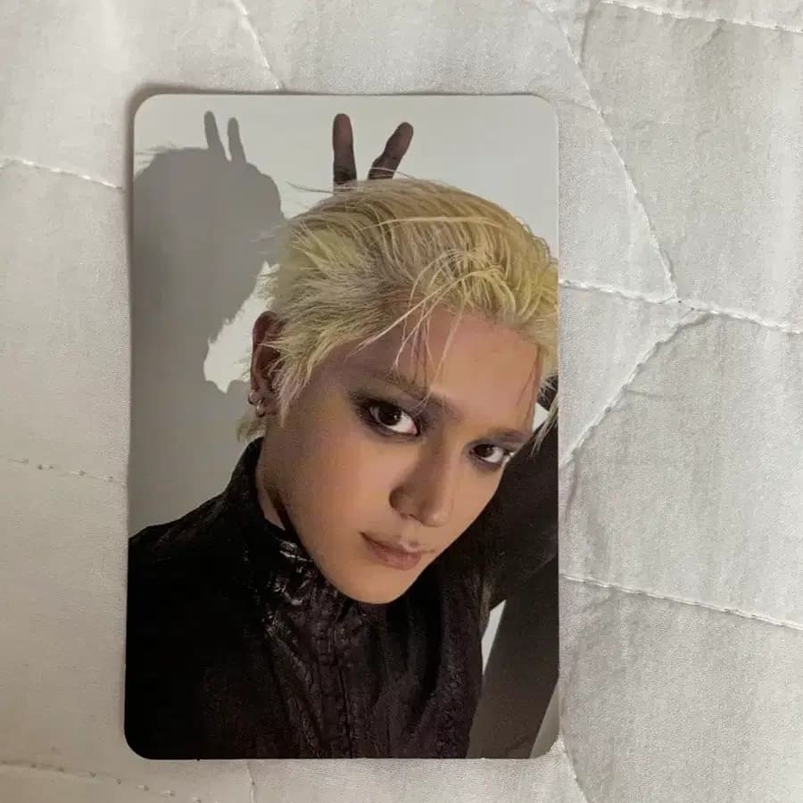 태용 와일드WYLD 진버전 포토카드 포카 앨포