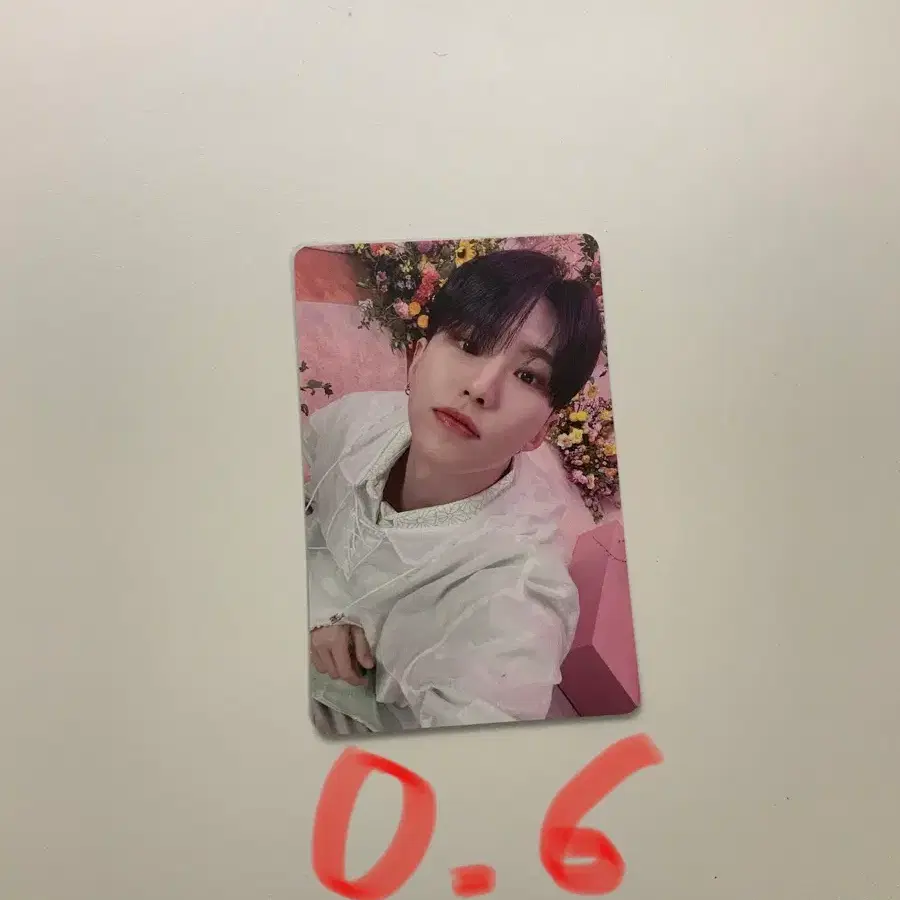 호시 초회한정반A 포카 양도