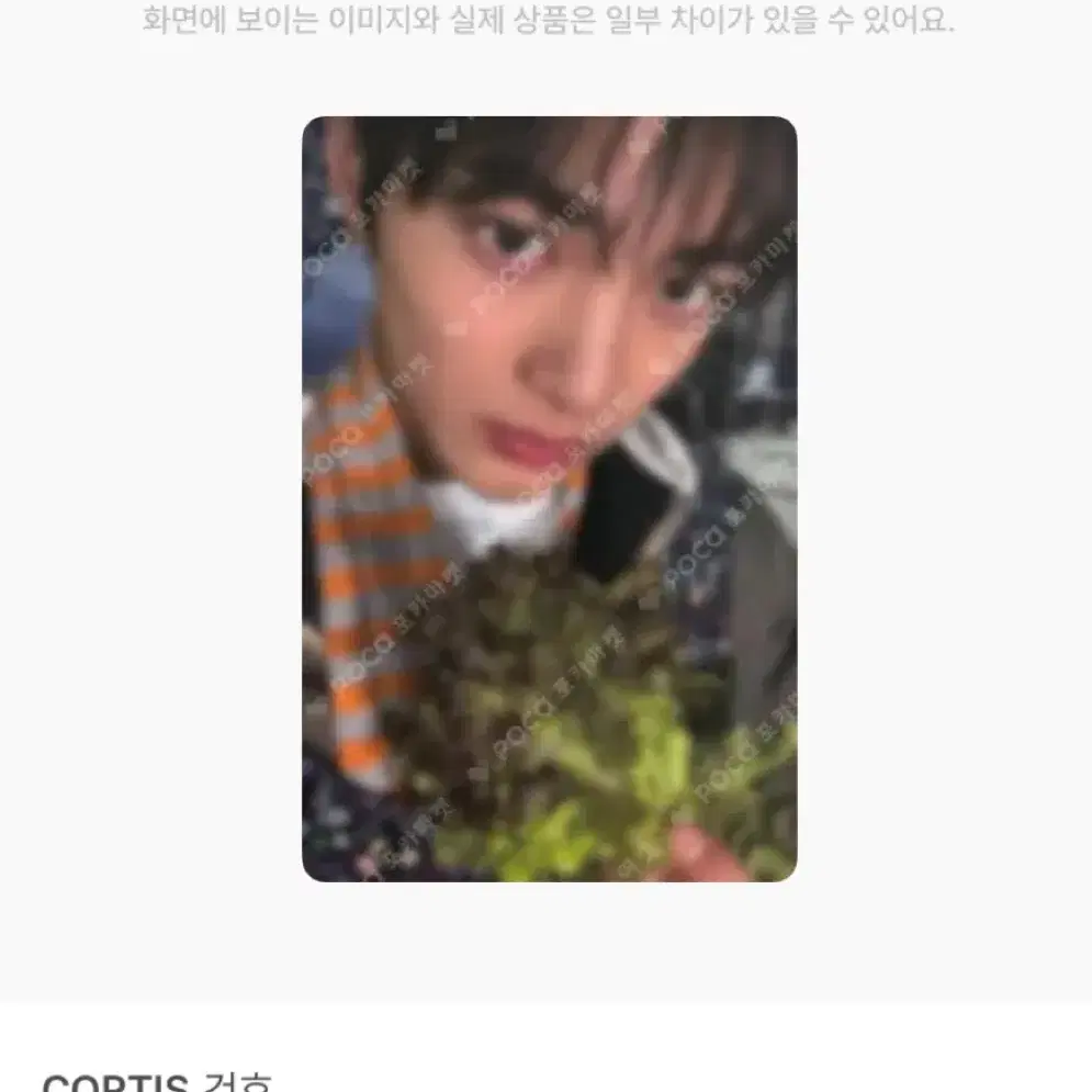 코르티스 건호 GREENGREEN 그린그린 뮤직아트 포카