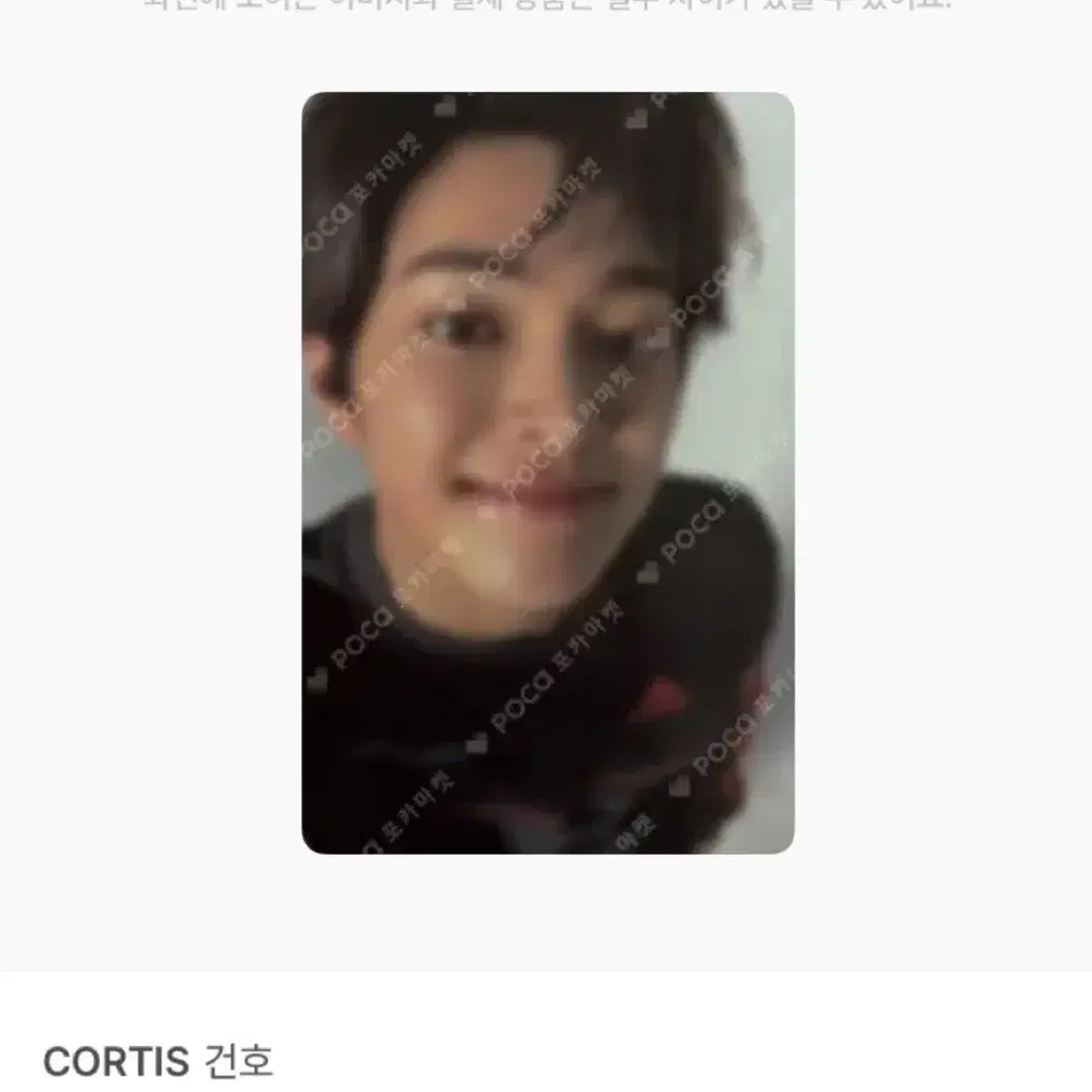 코르티스 건호 GREENGREEN 그린그린 스튜디오 포카